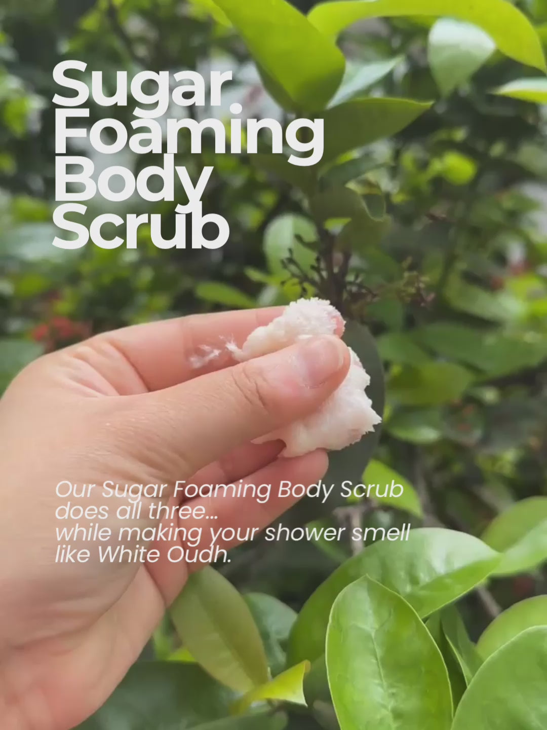 Load video: Sugar Foaming Body Scrub Enriched With Glycolic Acid, Lactic Acid and Glycerine